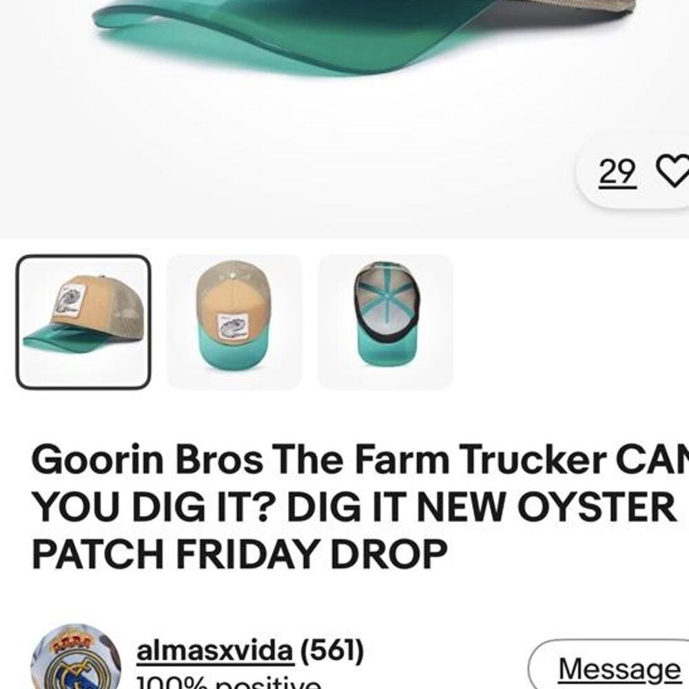 Goorin Bros "Dig It" Trucker Hat - Picture 5 of 5